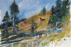 1531, Kirchberg, auf der Ochsalm, 1984, Aquarell, 77 x 56,5 cm